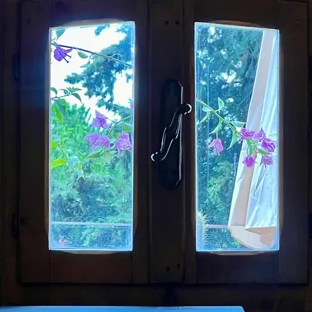 Le Viole Apartment *