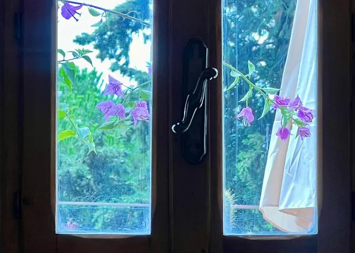 Le Viole Daire *